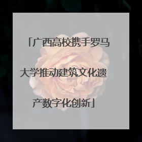 广西高校携手罗马大学推动建筑文化遗产数字化创新