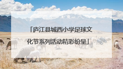 庐江县城西小学足球文化节系列活动精彩纷呈