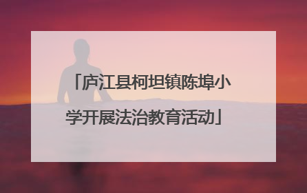 庐江县柯坦镇陈埠小学开展法治教育活动