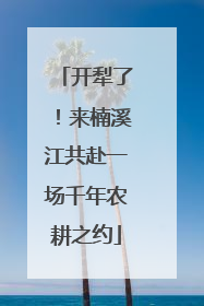 开犁了！来楠溪江共赴一场千年农耕之约