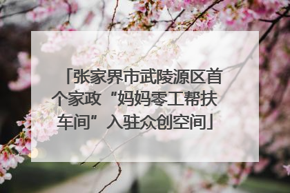 张家界市武陵源区首个家政“妈妈零工帮扶车间”入驻众创空间