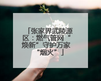 张家界武陵源区：燃气管网“焕新”守护万家“烟火”
