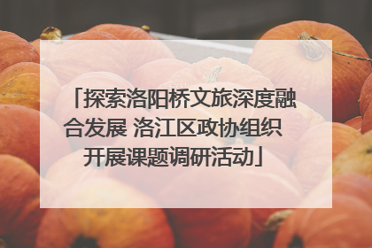 探索洛阳桥文旅深度融合发展 洛江区政协组织开展课题调研活动