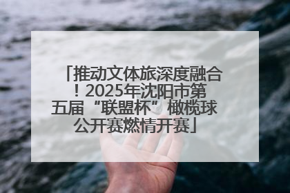 推动文体旅深度融合！2025年沈阳市第五届“联盟杯”橄榄球公开赛燃情开赛