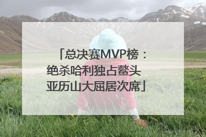 总决赛MVP榜：绝杀哈利独占鳌头 亚历山大屈居次席