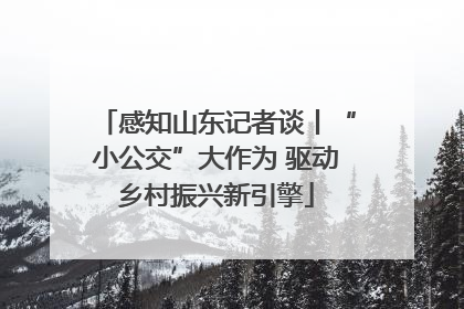 感知山东记者谈丨“小公交”大作为 驱动乡村振兴新引擎