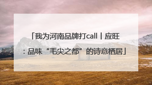 我为河南品牌打call丨应旺：品味“毛尖之都”的诗意栖居