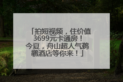 拍短视频，住价值3699元卡通房！今夏，舟山超人气鹈鹕酒店等你来！