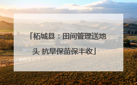 柘城县：田间管理送地头 抗旱保苗保丰收