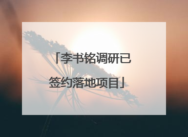 李书铭调研已签约落地项目