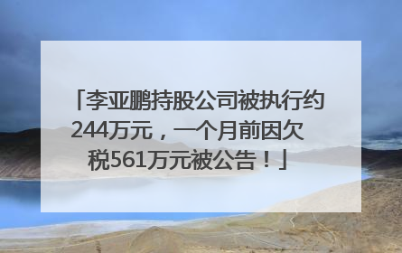 李亚鹏持股公司被执行约244万元，一个月前因欠税561万元被公告！