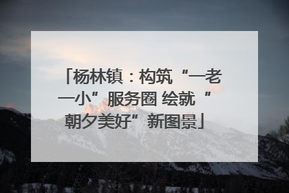 杨林镇：构筑“一老一小”服务圈 绘就“朝夕美好”新图景