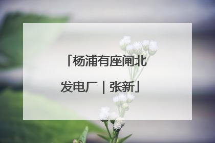 杨浦有座闸北发电厂｜张新