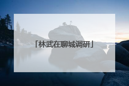 林武在聊城调研
