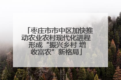 枣庄市市中区加快推动农业农村现代化进程 形成“振兴乡村 增收富农”新格局