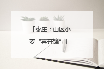 枣庄：山区小麦“喜开镰”