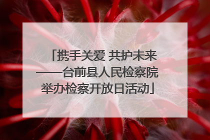 携手关爱 共护未来——台前县人民检察院举办检察开放日活动