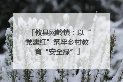 攸县网岭镇：以“党建红”筑牢乡村教育“安全绿”