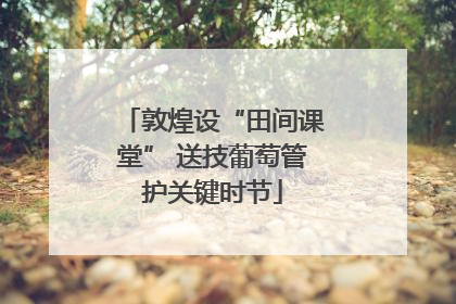 敦煌设“田间课堂” 送技葡萄管护关键时节