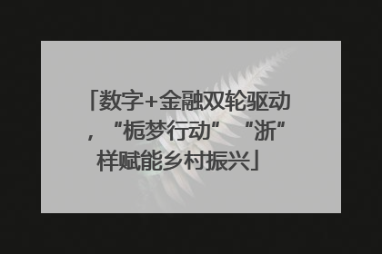 数字+金融双轮驱动，“栀梦行动”“浙”样赋能乡村振兴