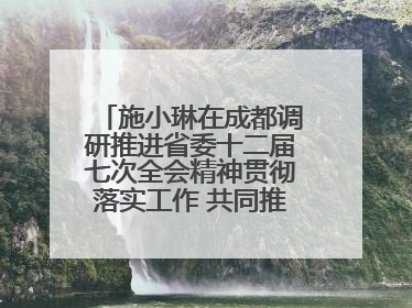 施小琳在成都调研推进省委十二届七次全会精神贯彻落实工作 共同推动文旅深度融合高质量发展 加快打造支柱产业民生产业幸福产业