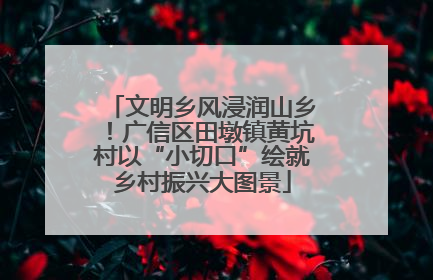 文明乡风浸润山乡！广信区田墩镇黄坑村以“小切口”绘就乡村振兴大图景