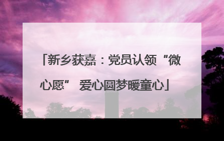 新乡获嘉：党员认领“微心愿” 爱心圆梦暖童心