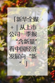 新华全媒+｜从上市公司一季报“含新量”看中国经济发展向“新”