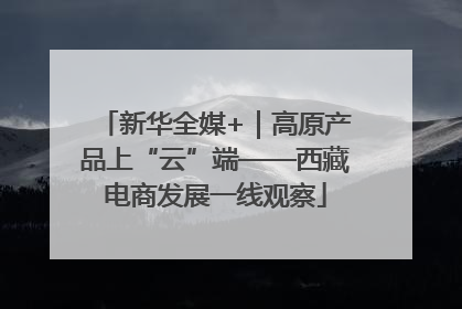 新华全媒+｜高原产品上“云”端——西藏电商发展一线观察