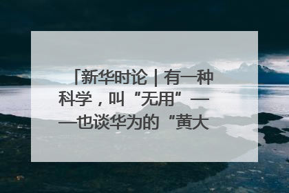 新华时论｜有一种科学，叫“无用”——也谈华为的“黄大年茶思屋”