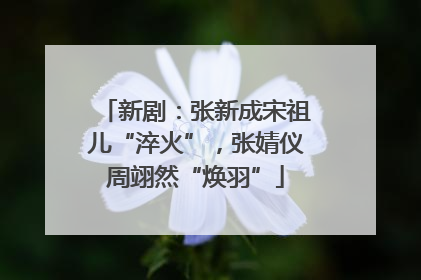 新剧：张新成宋祖儿“淬火”，张婧仪周翊然“焕羽”