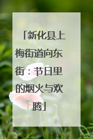 新化县上梅街道向东街：节日里的烟火与欢腾