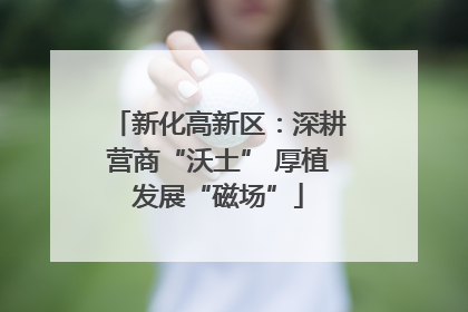 新化高新区：深耕营商“沃土” 厚植发展“磁场”