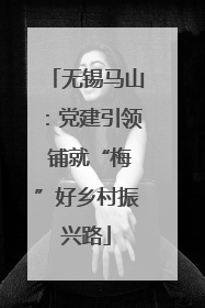 无锡马山：党建引领 铺就“梅”好乡村振兴路