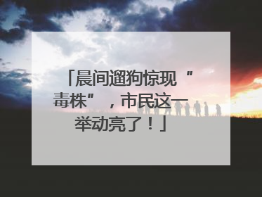 晨间遛狗惊现“毒株”，市民这一举动亮了！