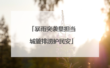 暴雨突袭显担当 城管排涝护民安