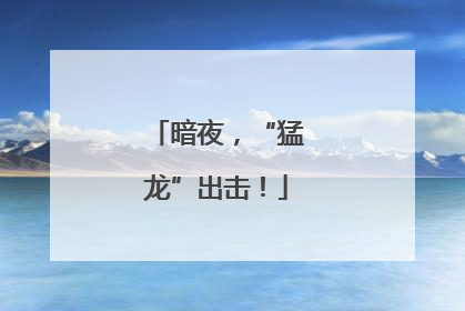 暗夜，“猛龙”出击！