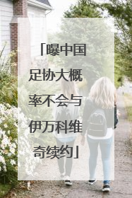曝中国足协大概率不会与伊万科维奇续约