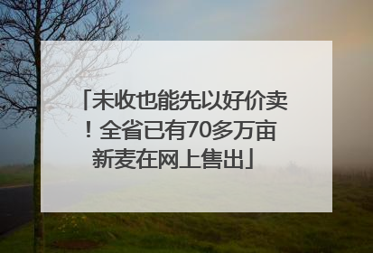 未收也能先以好价卖！全省已有70多万亩新麦在网上售出