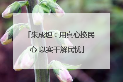 朱成坦：用真心换民心 以实干解民忧