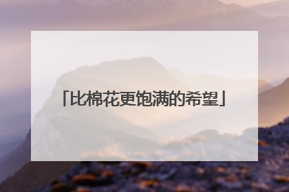 比棉花更饱满的希望