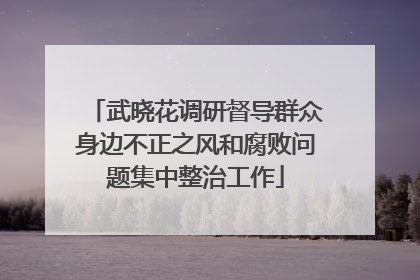 武晓花调研督导群众身边不正之风和腐败问题集中整治工作