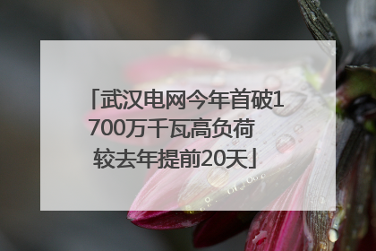 武汉电网今年首破1700万千瓦高负荷 较去年提前20天