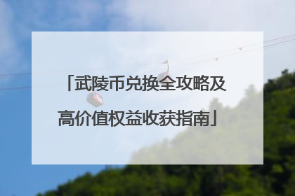 武陵币兑换全攻略及高价值权益收获指南