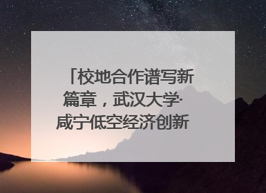 校地合作谱写新篇章，武汉大学·咸宁低空经济创新研究院签约成立