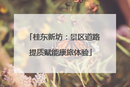 桂东新坊：景区道路提质赋能康旅体验