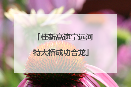 桂新高速宁远河特大桥成功合龙