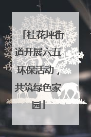 桂花坪街道开展六五环保活动，共筑绿色家园