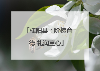 桂阳县：阶梯育德 礼润童心