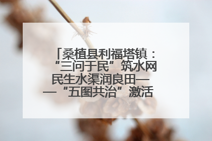桑植县利福塔镇：“三问于民”筑水网 民生水渠润良田——“五图共治”激活基层治理新动能